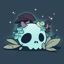 ✦ Kitty ✦