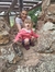 Astrid