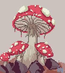 Zygospores