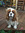 Lucy