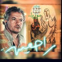 بسام قطيفان