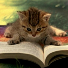 Tess_BBooks