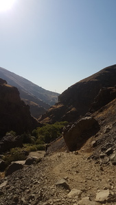 Farbod Fazaeli Javan