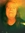 member photo member photo