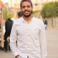 Ammar Eltoukhy