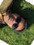 Aditya