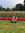 Fernanda | 4 comments
