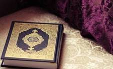 Nermeen Mahmoud