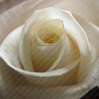 أحمد عبدالحميد السيد أحمد