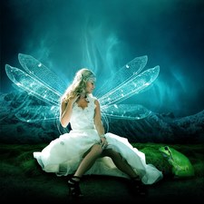 Michelle   Thomas PA