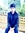 Rupam S...