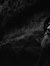 Dawid R...