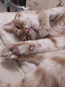 Екатерина Стоянова