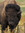 Andrew (copyright75) | 3 comments
