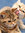 Missy | 8 comments