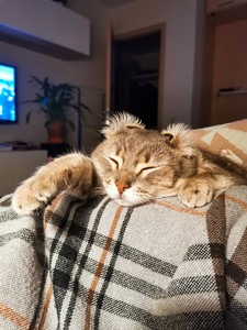 Екатерина Фролкова