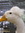 Duk Wings | 10 comments