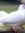 Henry (servantofgod) | 3 comments