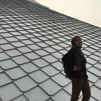 Felly MH