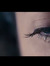 Scarlett W