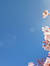 Mozella...