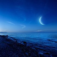 احمد الغباشى