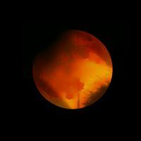 ফারহান আহমেদ