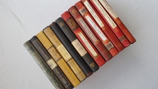 Sevra piratestealingbooks