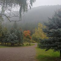 Tammy Mitchell-Scroggie