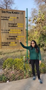 Sneha Shah