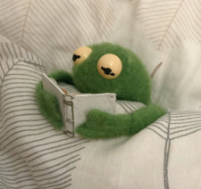 The Reading Frog