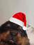 Mar_llanes