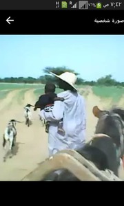 الرشيد