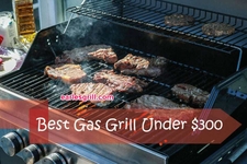 Bestgasgrillsunder