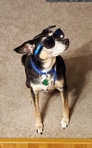 Riley