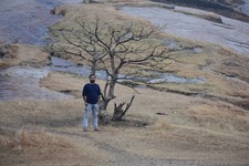 Pranav V