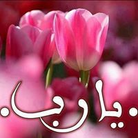 Shaimaa Faris