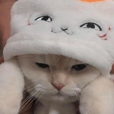 Cận Vũ