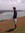 Ankit S...