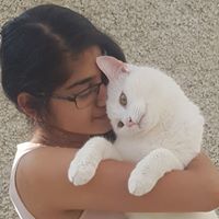 Rashmi