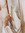 amintheeam | 5 comments
