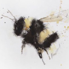 Sandra Plahn