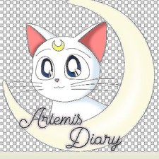 Artemis Diary