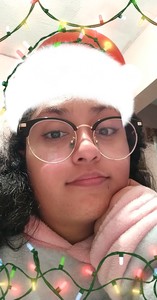 Karen Ramirez Valles