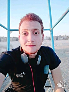 Amr mousa