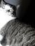 Adrienne