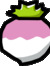 Turnip