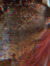 Eren Özdil