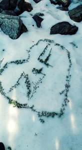 ليلى عبد العزيز