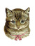 Debbie ...